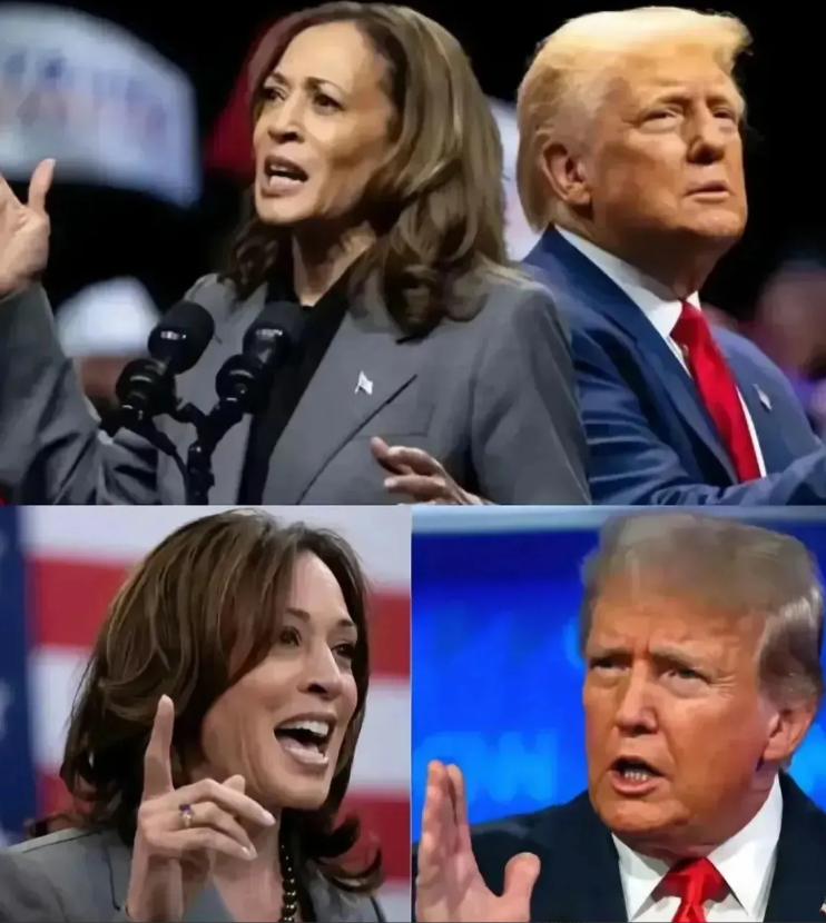 果然不出所料，美大选最后时刻，民调点破：