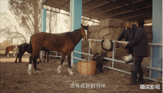 收视率全国第一,为何《新闻联播》用整整20秒来推崇一部电视剧?-第20张图片-九妖电影 收视率全国第一,为何《新闻联播》用整整20秒来推崇一部电视剧?-第20张图片-九妖电影