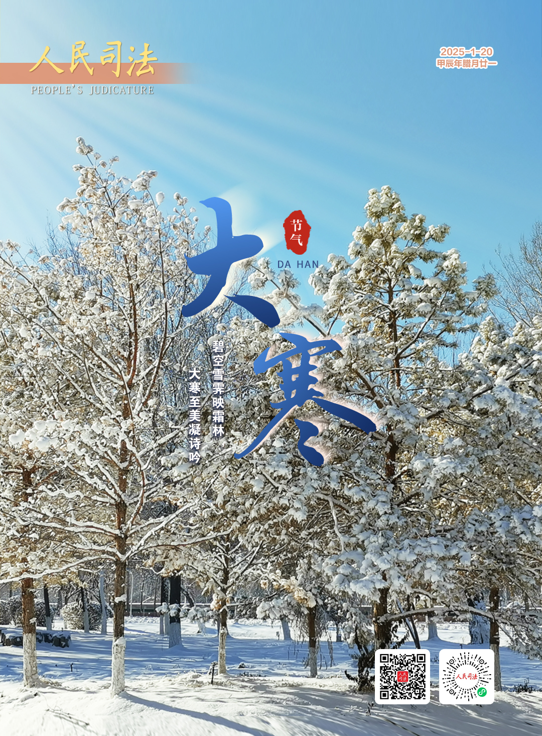 碧空雪霁映霜林，大寒至美凝诗吟