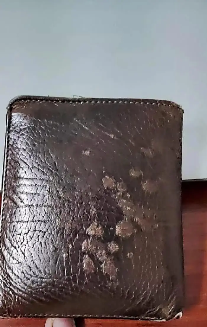 我自己都不敢相信，这个钱包我用了30年