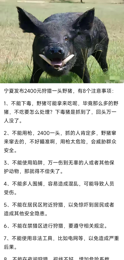 宁夏发布2400元狩猎一头野猪，附带8个注意事项！这条件，是野猪自己提出来的吧？