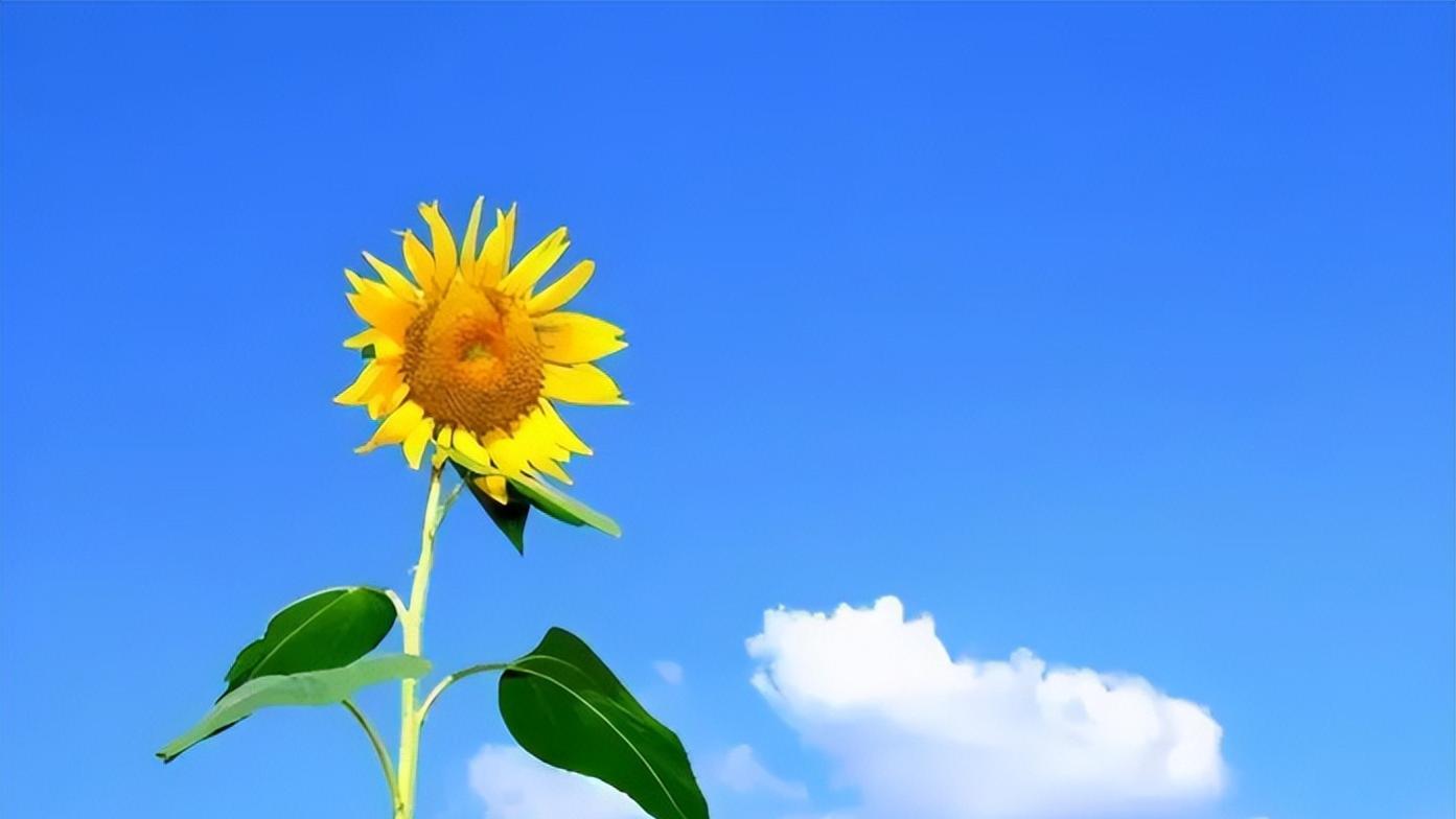 儿媳太狠心！70岁婆婆带10万来帮忙，结果半年就被扫地出门？