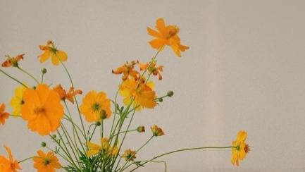 2024下半年旺自己最好的方法