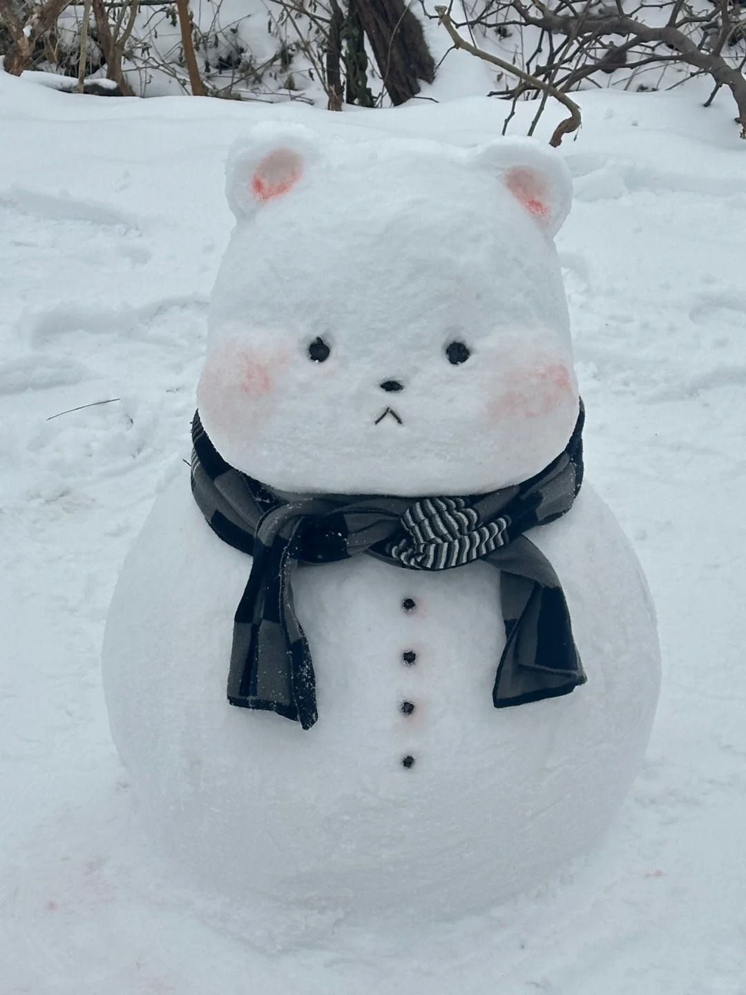 我的小熊真的好Q⛄️