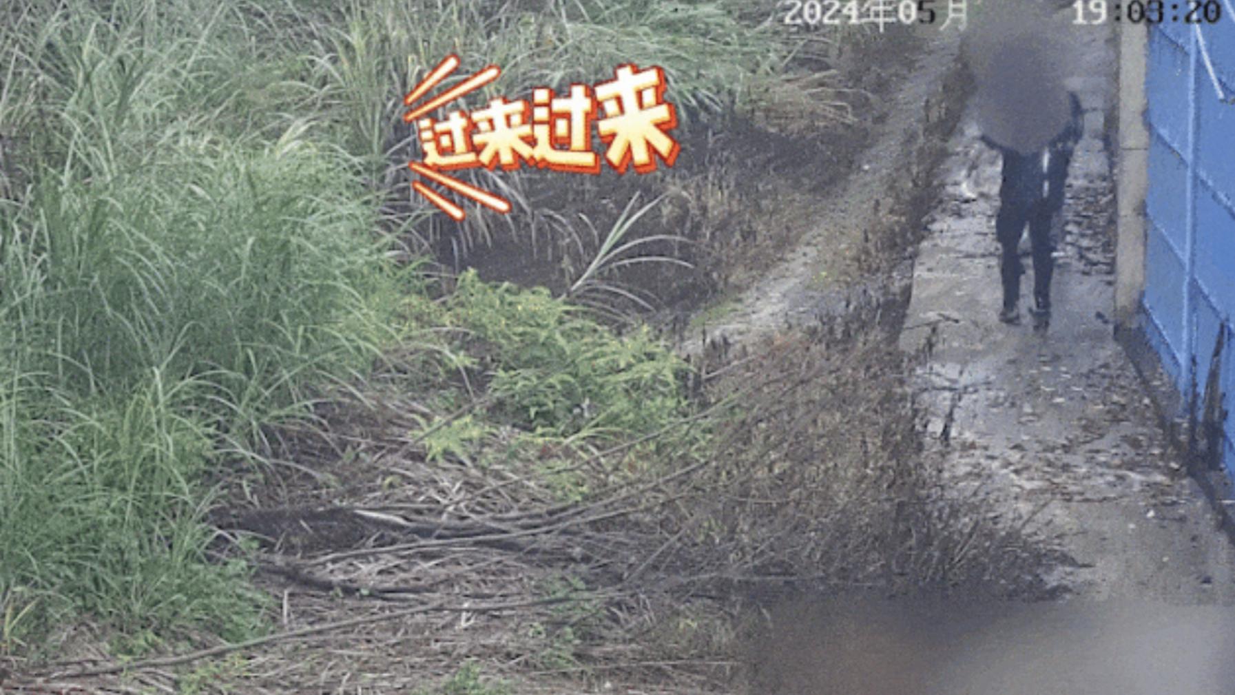 “外面有警车，蹲好，不要被发现” 草丛里，这句话居然是警察说的？