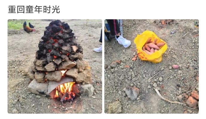 重回童年时光