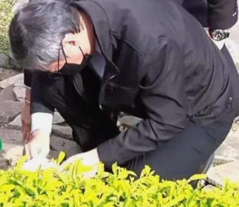 从琼瑶的身后事看到，一定要有亲生的孩子。要钱自挣，要儿亲生！
 
吃水不忘挖井人