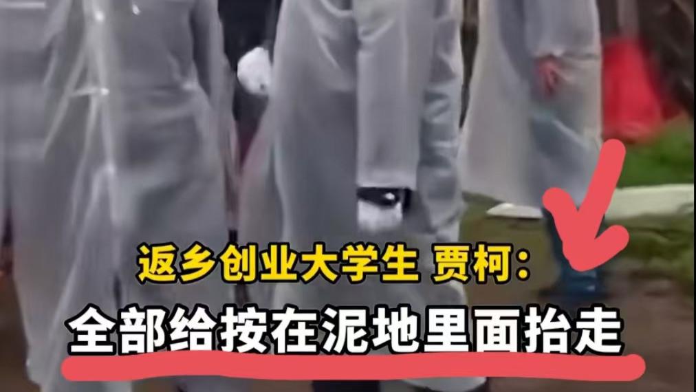 副县长强拆果园，法治何在？网友：这还是我们认识的“乡村振兴”吗？