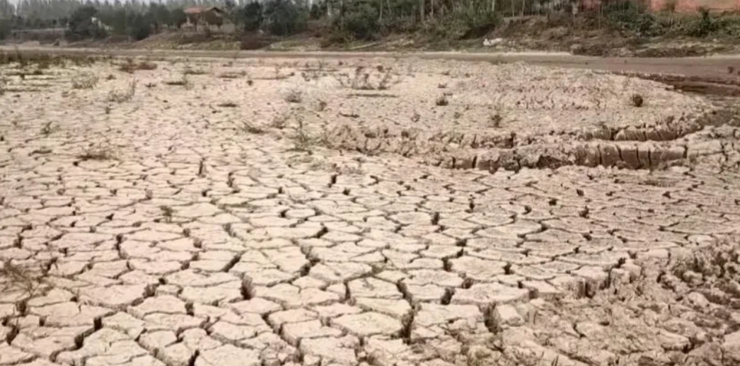 河南已经持续将近两三个月干旱无有效降兩了，农民冒着近 40 度高温浇地种植秋季粮