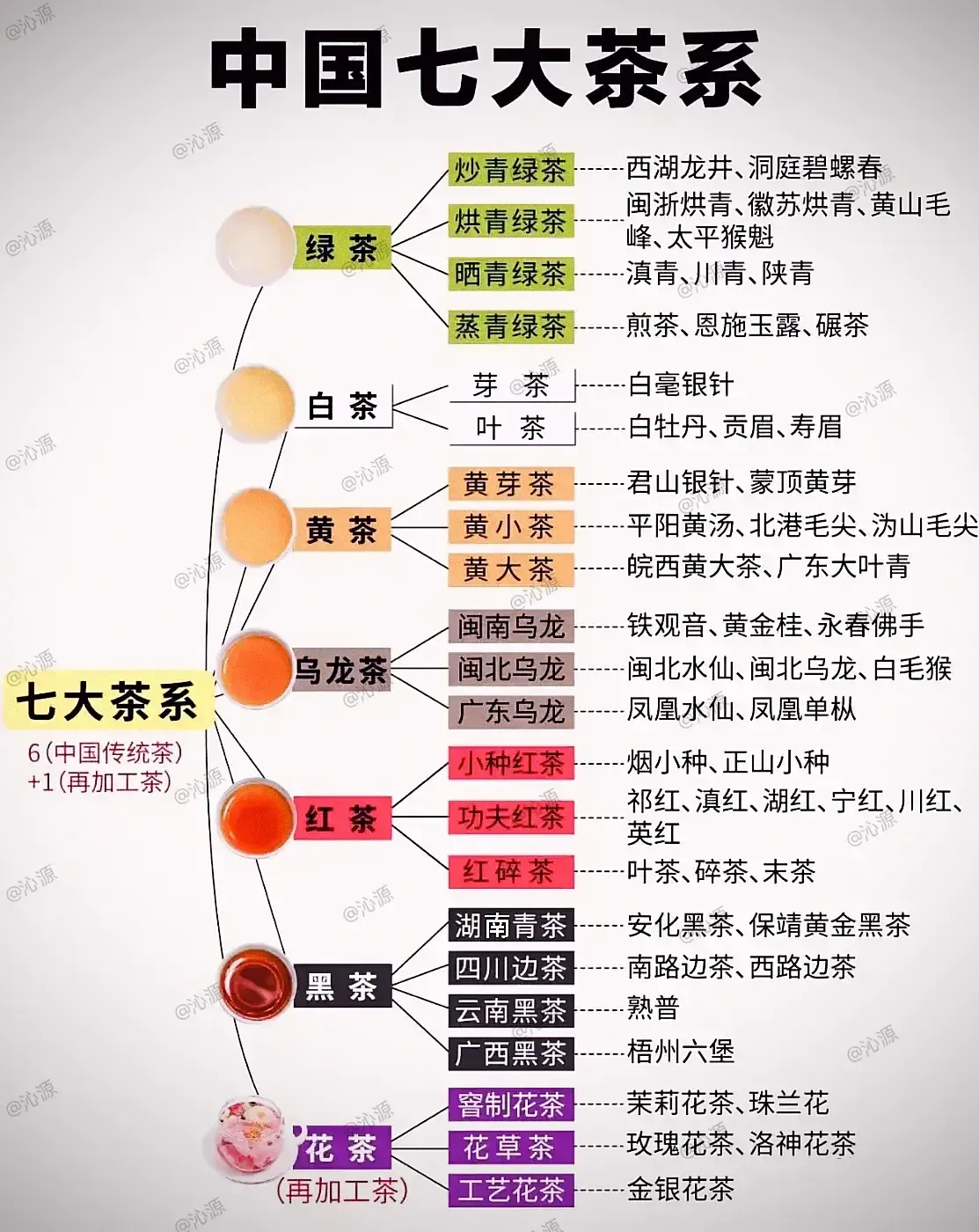 中国七大茶系，带你领略茶文化之美！