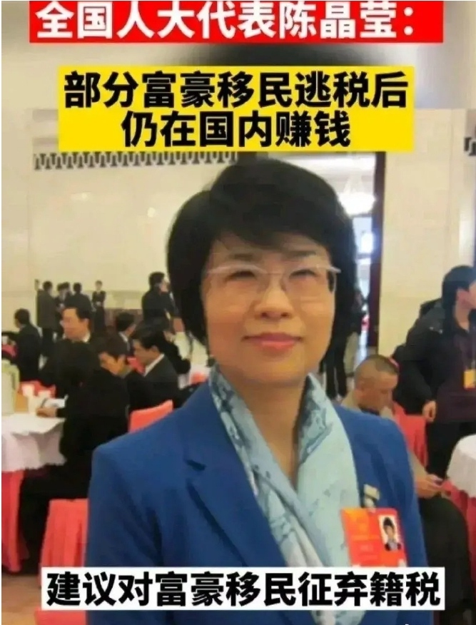 全国人大代表陈晶莹:
部分富豪在国内赚钱后，选择移民国外，严重造成国家人财两失，