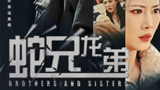短剧在线观看《蛇兄龙弟》完整版全集（60集）王漫漫
