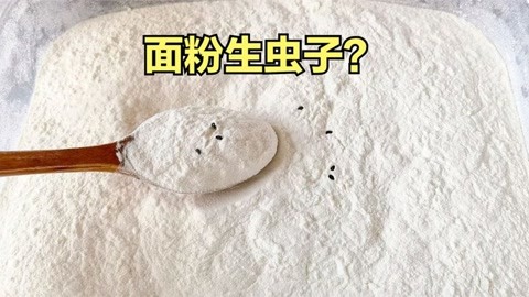 家里剩有一袋面，还没有来得及吃，就生虫子了，我就让老公背到楼下的垃圾桶旁边了！