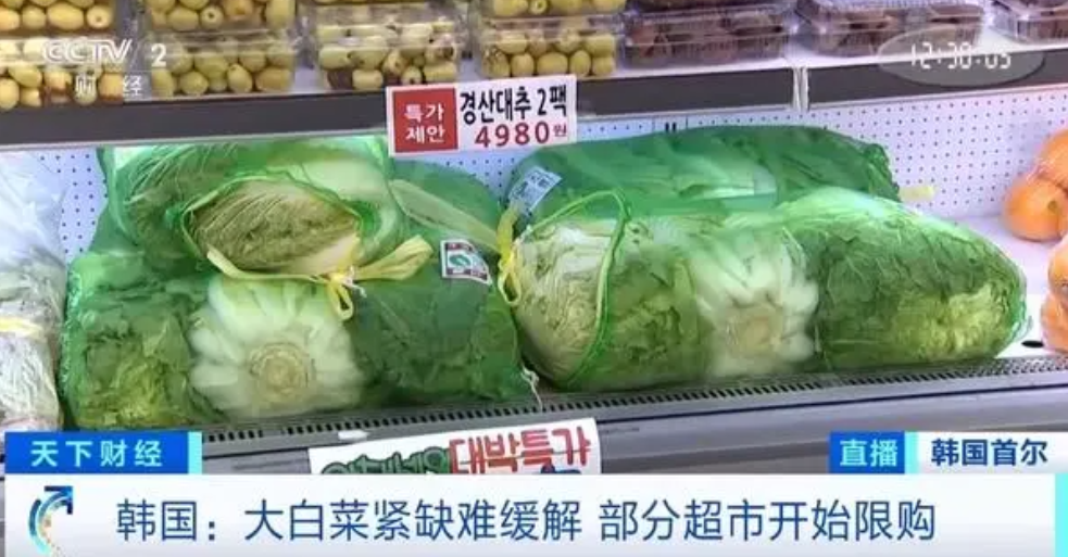 涨价两倍，爱买不买！”倒反天罡！2024年，韩国因白菜白菜供应不足，纷纷向中国求