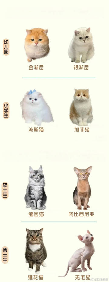 果然长得好看的都是拿智商换的。