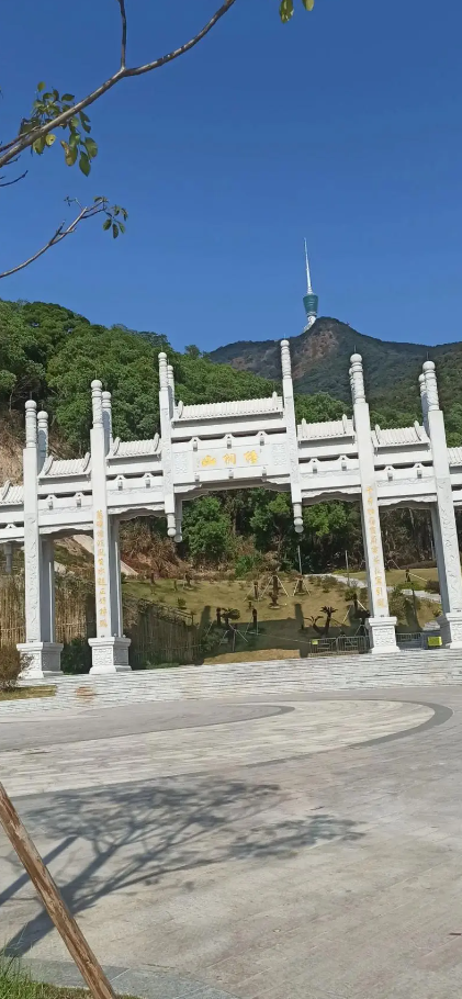 何时才能“上岗”？
