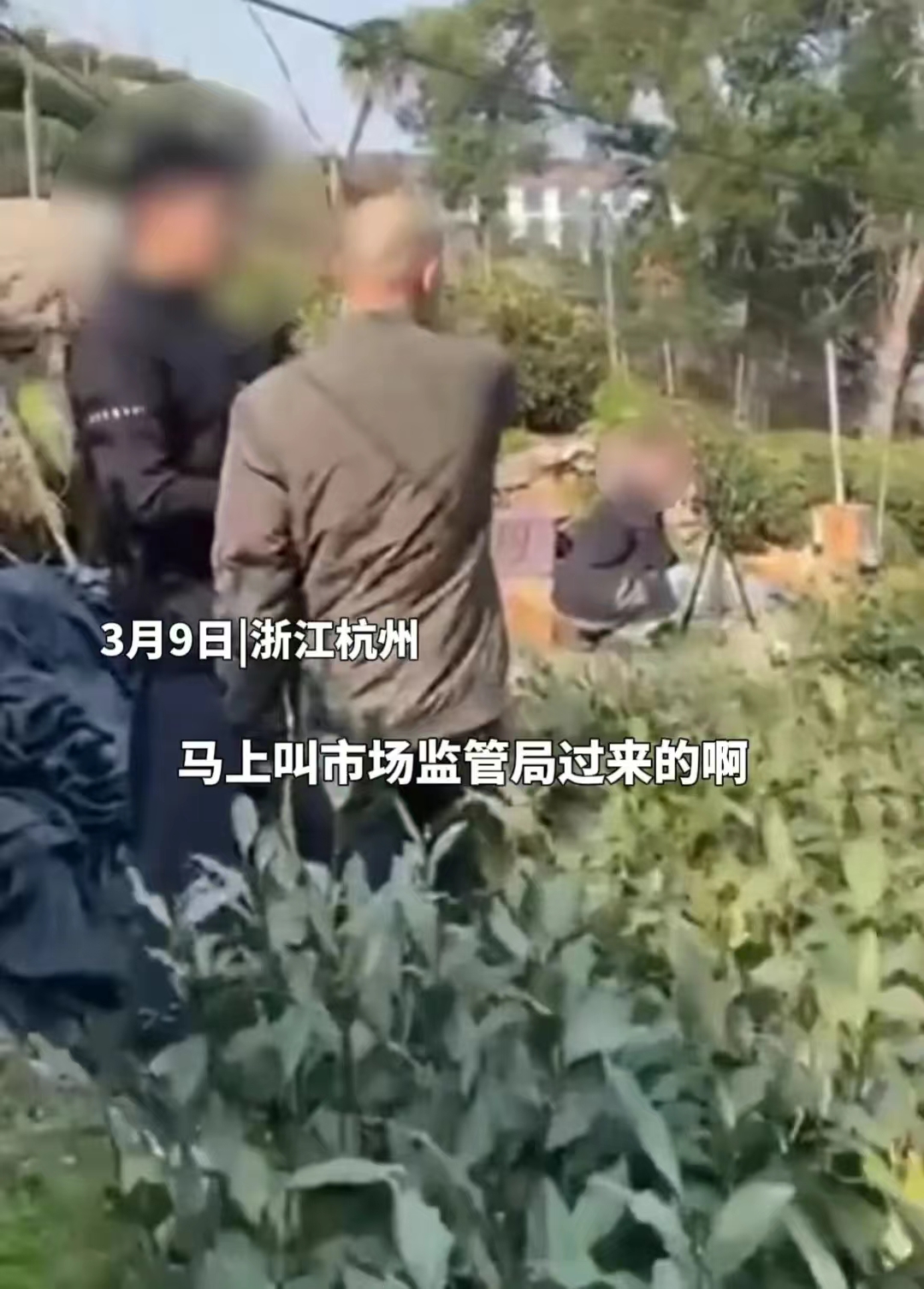 #男子蹭茶园直播遭怒斥：茶还没开采#孙书记是谁呀？全网都想了解这个所谓打招呼的孙