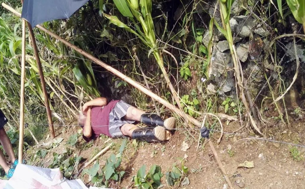 江西赣州，一男子带头组织两个朋友在山区铺设电网捕猎野猪，谁知在搬运器材的过程中，