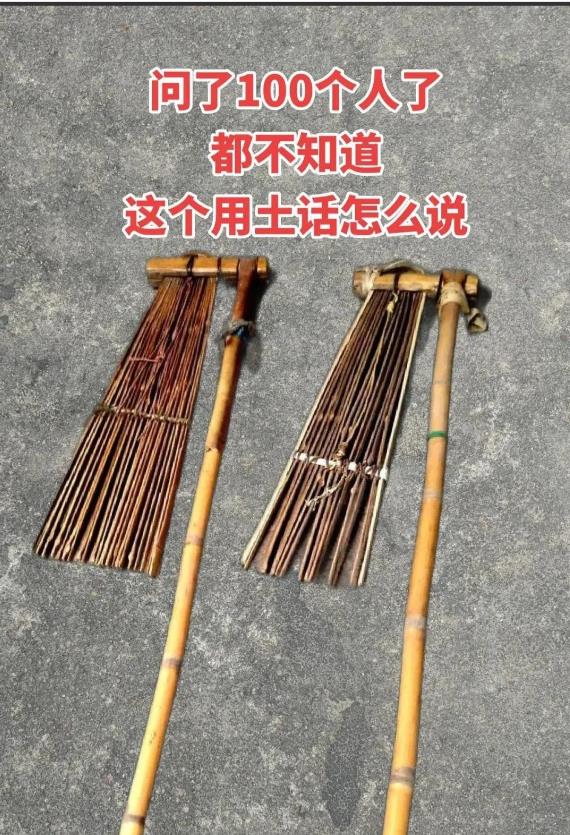 这是啥东西啊