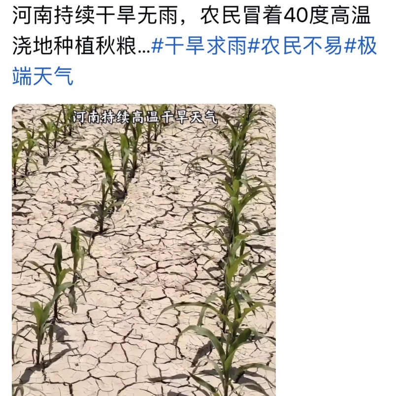 河南有多“红”啊！

说到河南的天热，一般人感觉不会吧，又不是“火炉”城市！可是