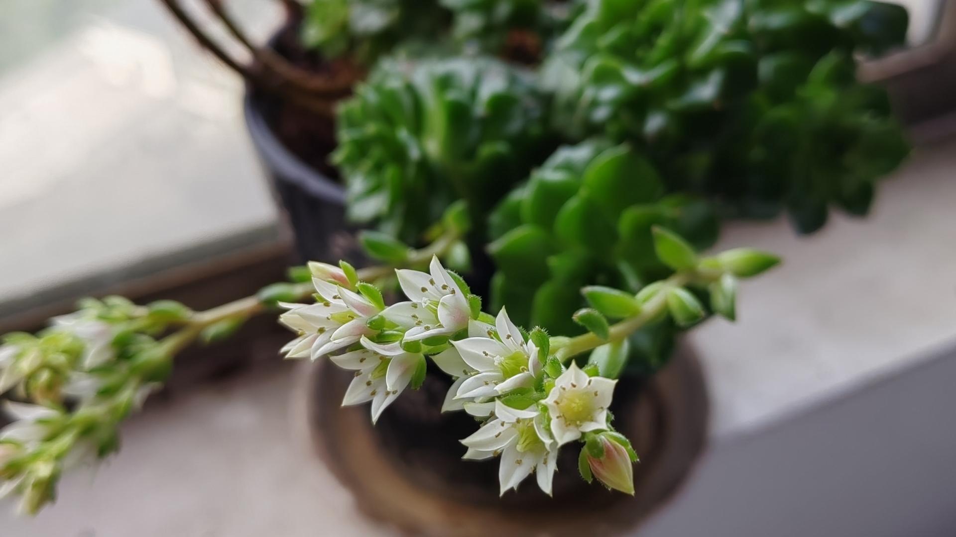 人性中“善与恶”的对应，还有哪些？