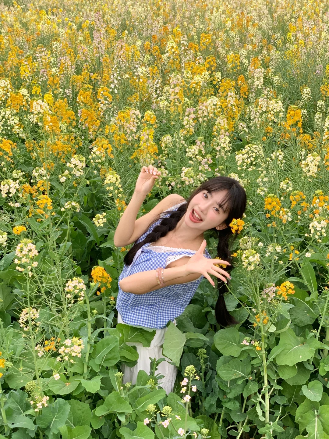 又到了一年一度的油菜花季节了