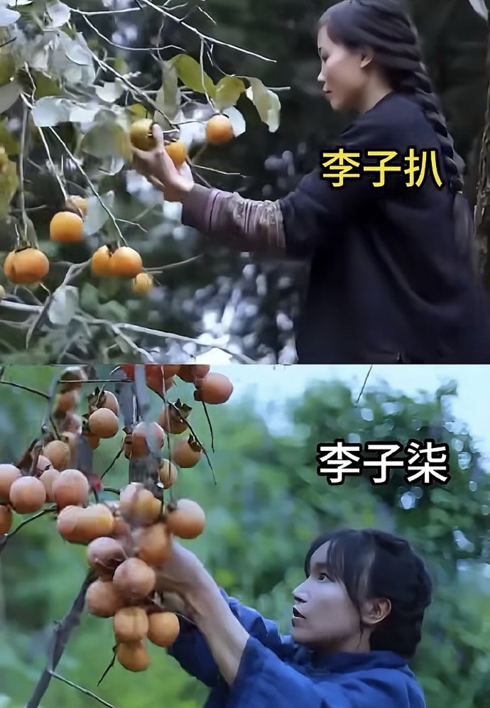 越南有一位网红模仿李子柒，搞笑的是李子柒停更他也停更