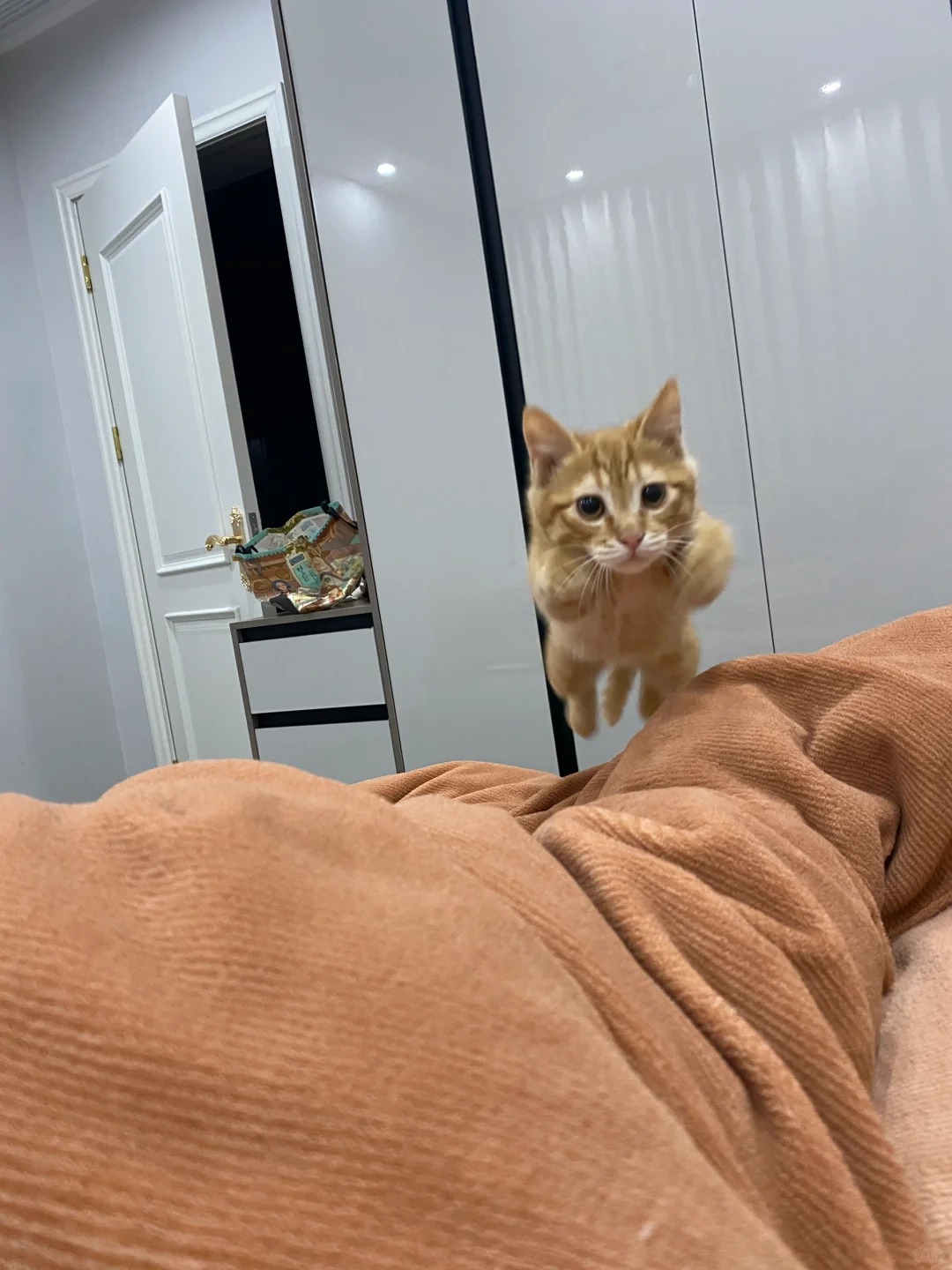 妈妈酱我来了！！哈哈哈哈哈
抓拍一张哈哈哈哈哈哈哈哈哈哈哈哈哈哈哈