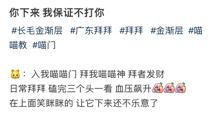 快点出来，我保证不打你