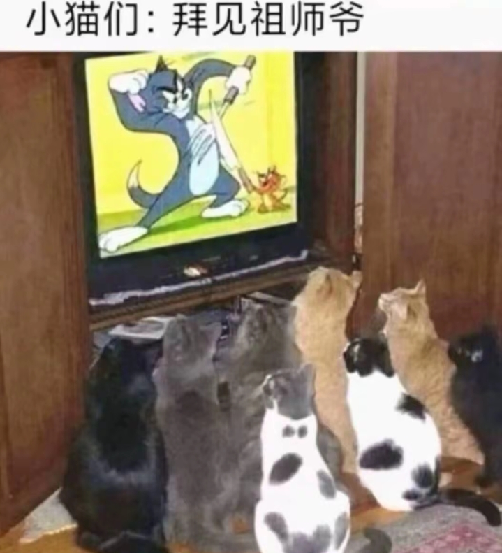 小猫们：拜见你们的祖师爷