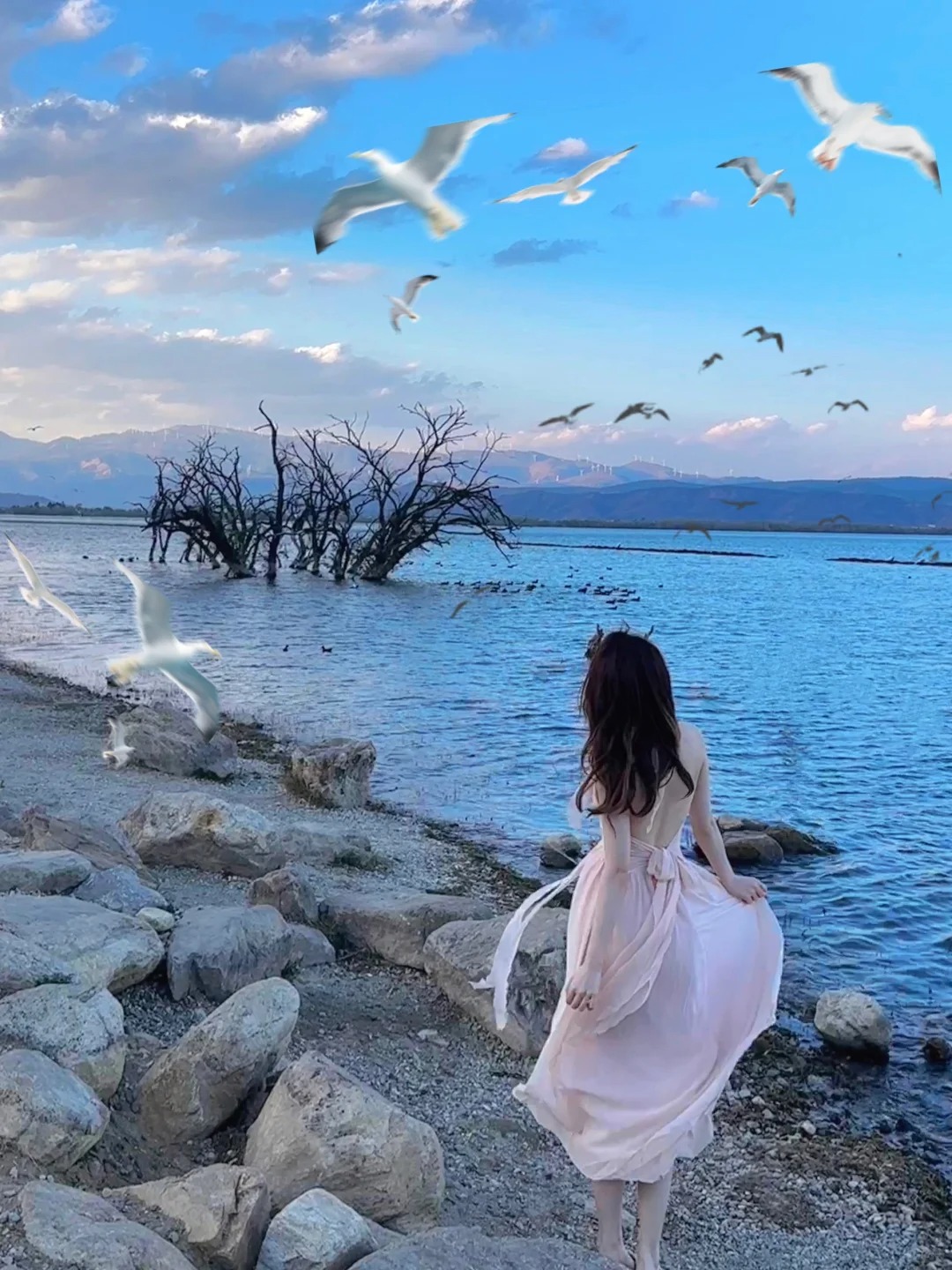 不小心在洱海…🌊🕊️拍出了人生照片！！！
吹海边的风✨
好多海鸥！！！！