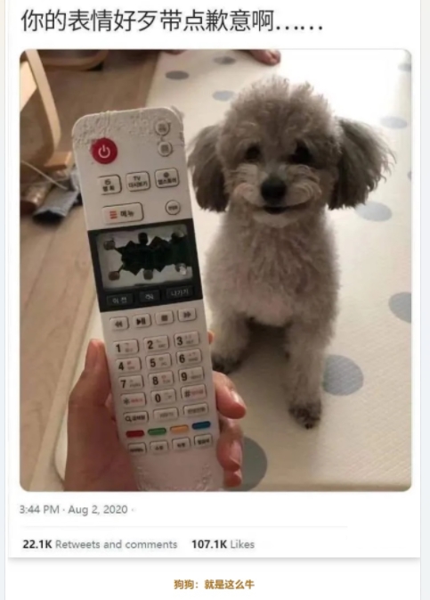 狗狗：就是这么牛