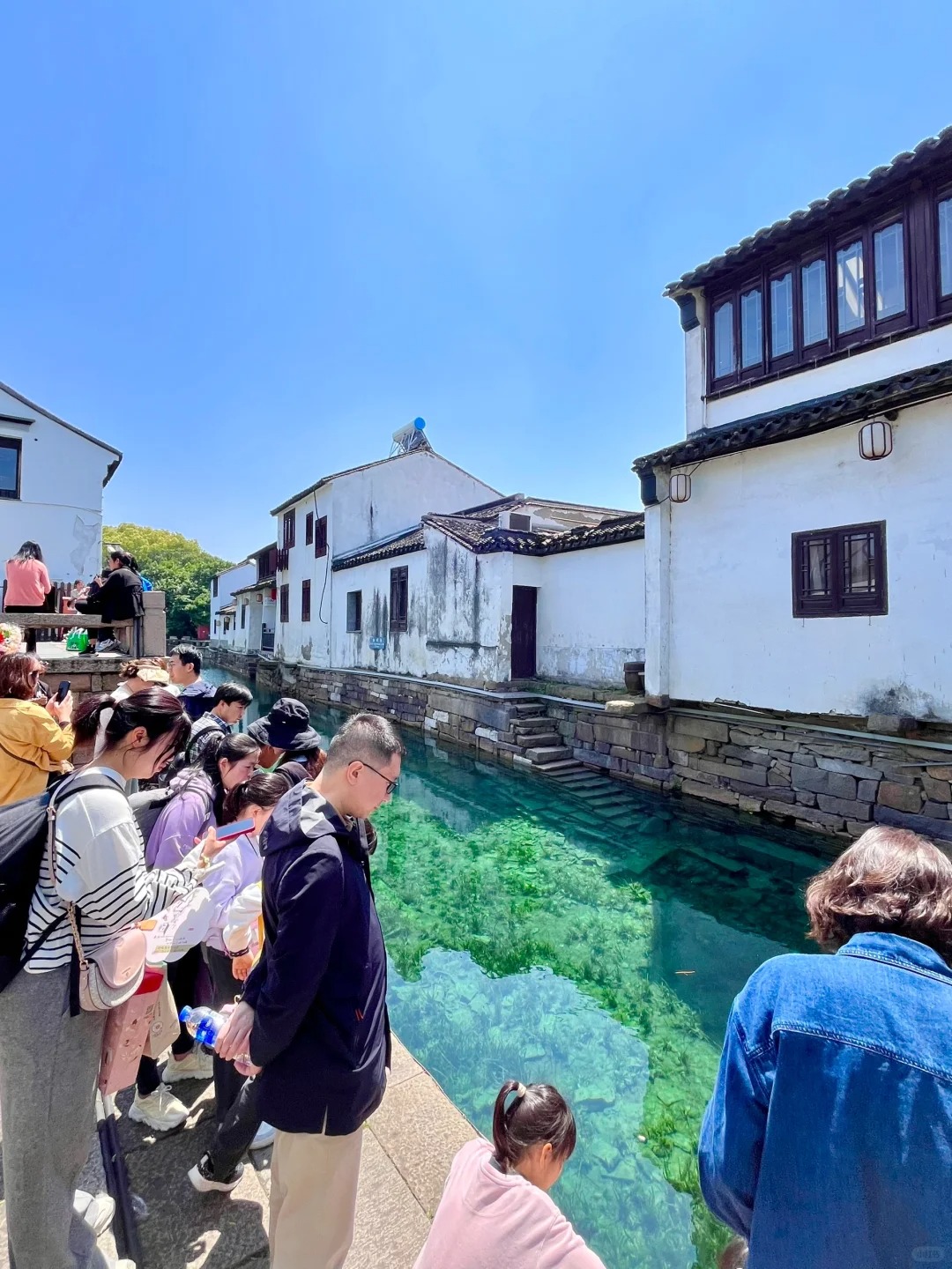 苏州再现果冻河！向全国游客炫耀钞能力😎
全国游客来了，苏州展示钞能力的时候到了