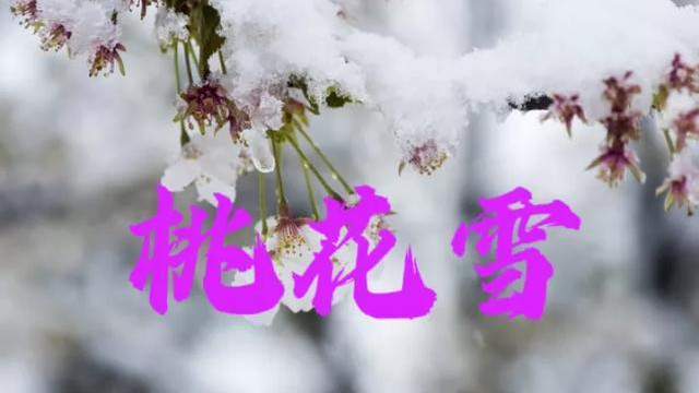 “倒春寒有没有，就看腊月十五”，今日腊月十五，春天雨雪多吗？