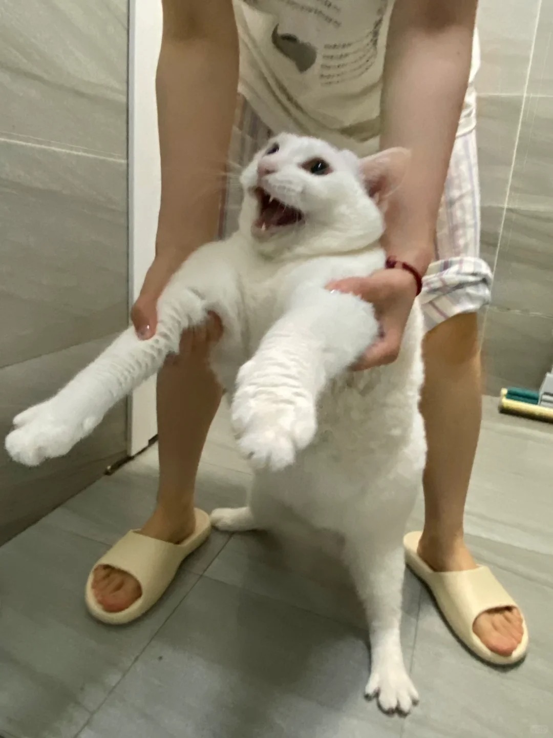 瓦达西不想洗澡