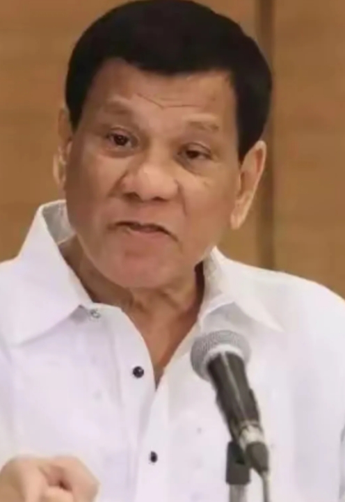 杜特尔特带领棉兰老岛独立势在必行，本来就是中国人何必在乎其他。
500年前郑和船