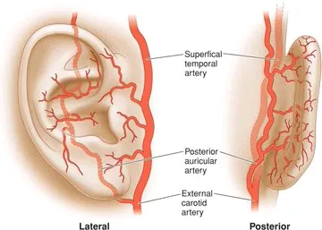川普的情况可能不太妙，现场的血迹很多，美国一位显微外科医师根据画面进行了分析，他