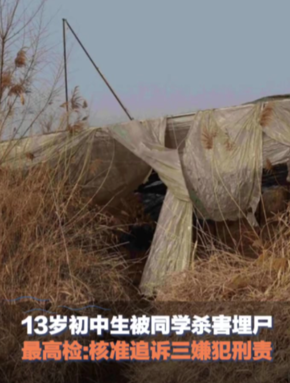 邯郸13岁初中生遭3名同学杀害案宣判，对其中一名被告人马某某依法不予刑事处罚，其