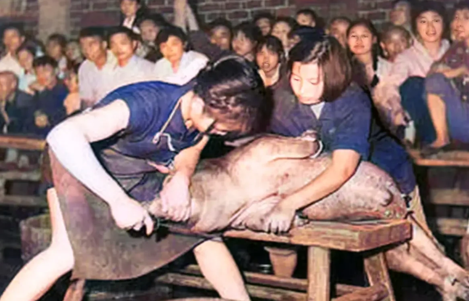 1950年之后，“妇女能顶半边天”的口号传遍中国，为了证明妇女在生产和社会建设中