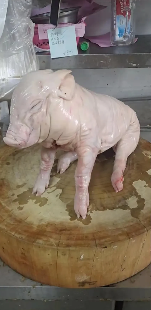 烤乳猪，真的太残忍了！
小猪才刚满月，就被宰了，端上餐桌，一条小小的生命就结束了