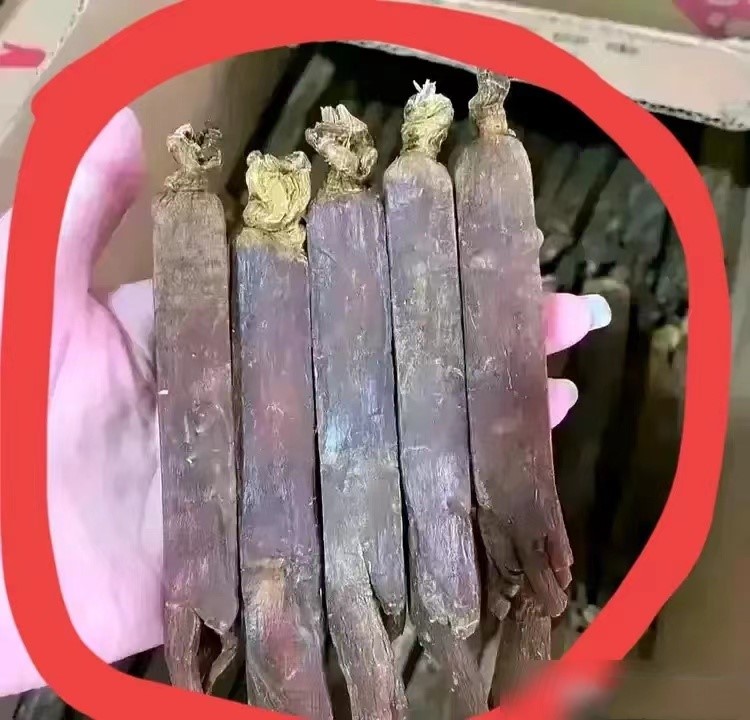 河南某地，一女子远赴外地，去见证一位大学同窗的婚礼。昔日校园里，她与这位同学情谊