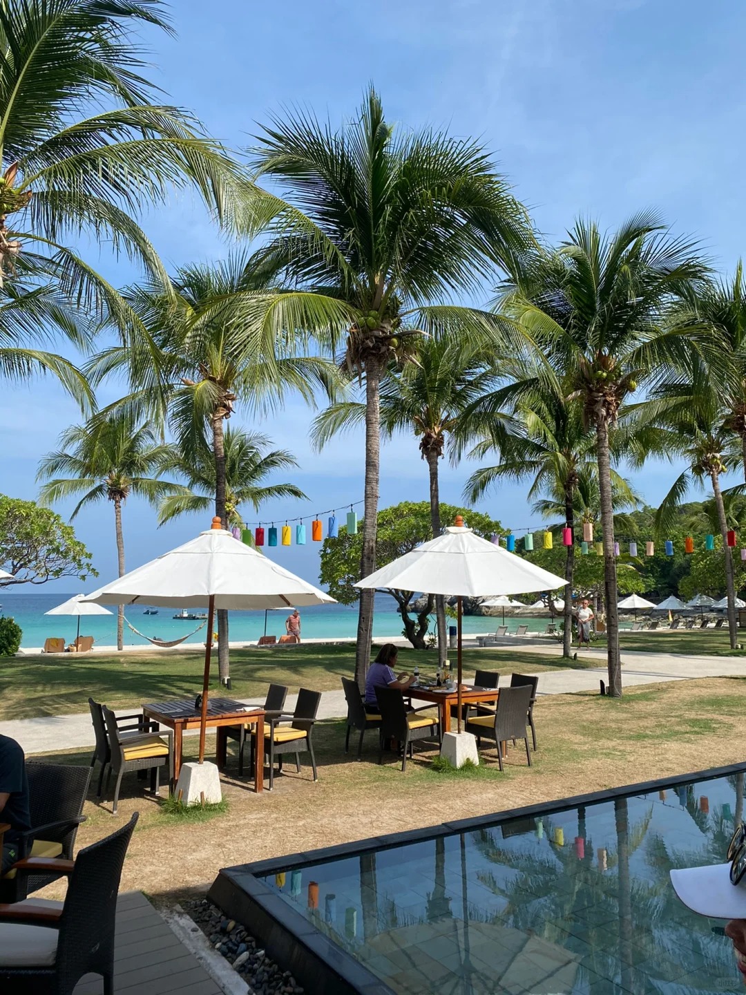 第一章岛民进城
尊的很舍不得拉查 太美了！～
下次还来