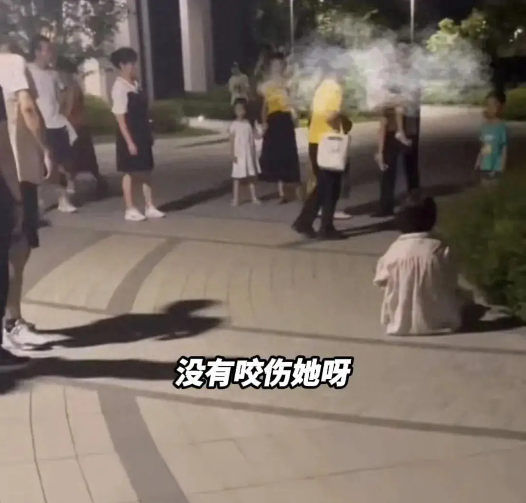  宠物狗吓哭小孩被爷爷摔死，这7点让人无法理解。
1、第一：这狗的主人真是让人费