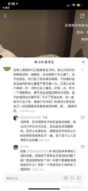 网红金毛金子妈回复网友。。。 
