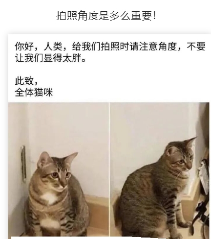 拍照角度是多么重要！