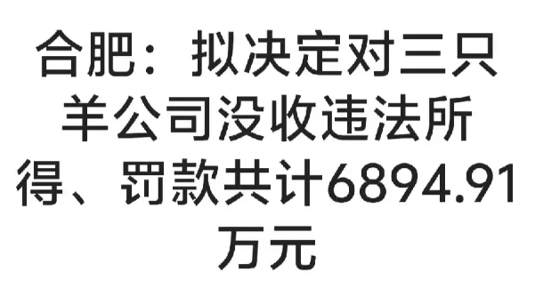 合肥调查组处罚三只羊了。这个处理挺快，不过看似处理了好像又有点新问题。

1、合