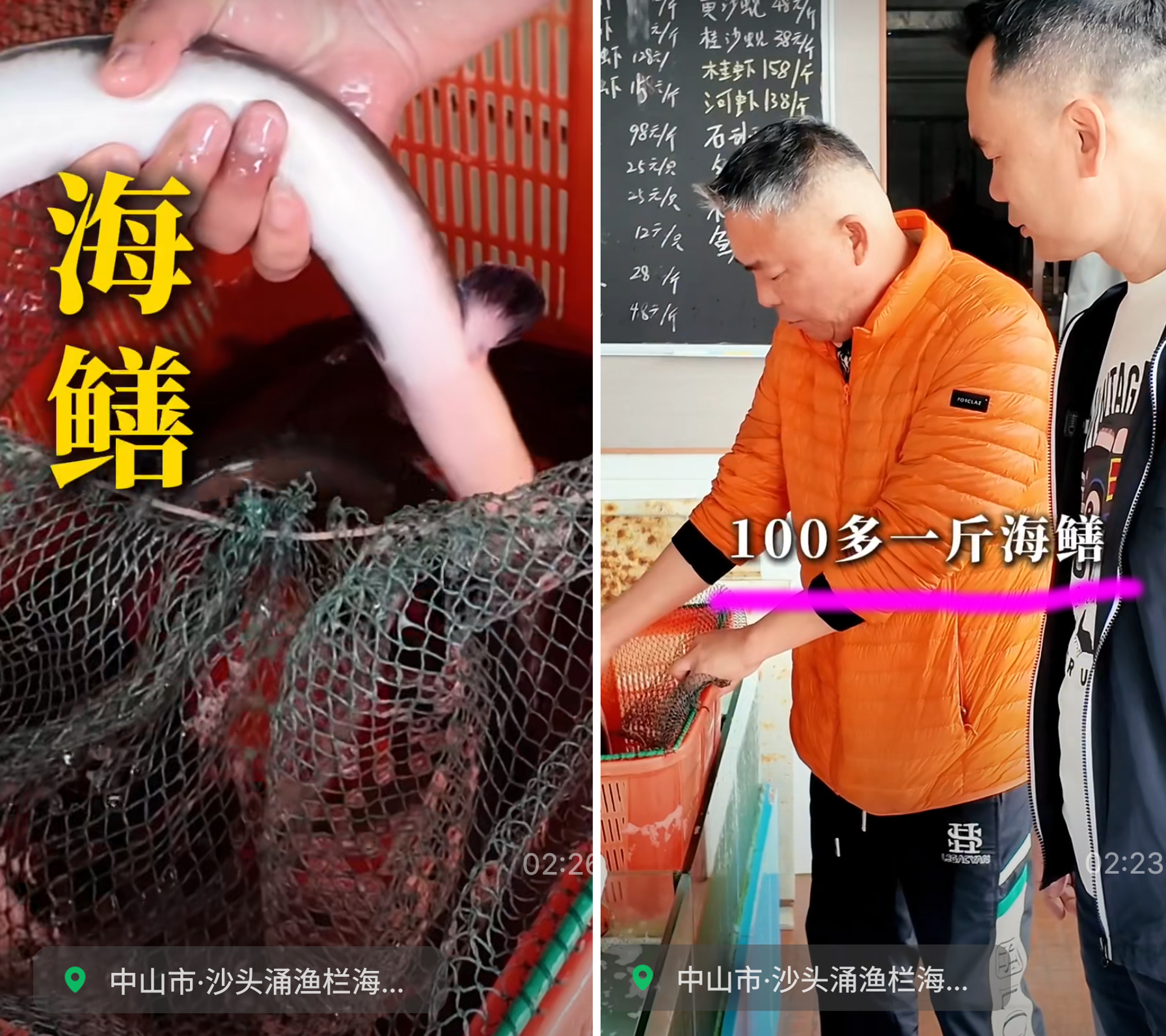中山南朗，野生风鳝（日本鳗鲡，俗名：白鳝/河鳗/江鳗）饭店一斤卖一百几。这样的定