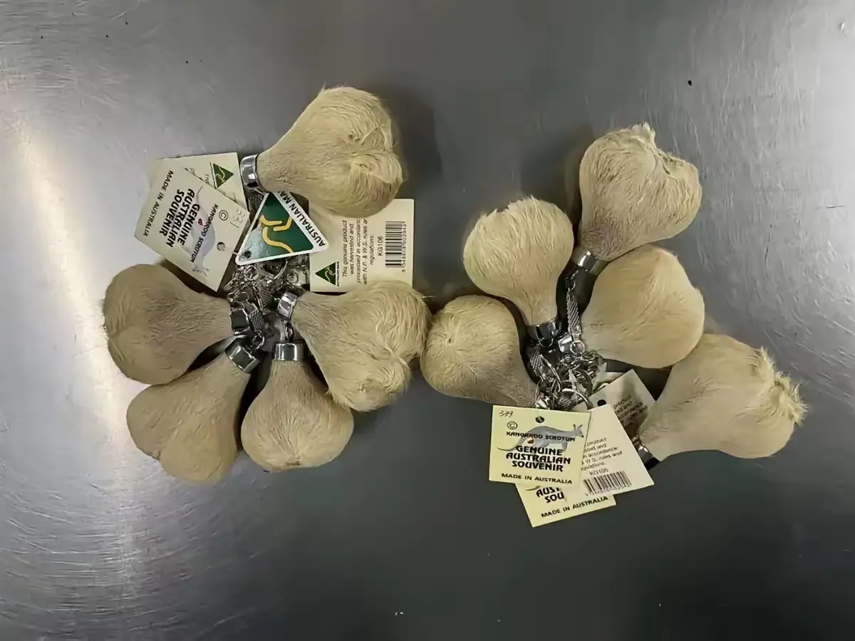 海关查验发现50对睾丸制品
四川成都海关在例行查验时，发现一包裹异常。
打开查验