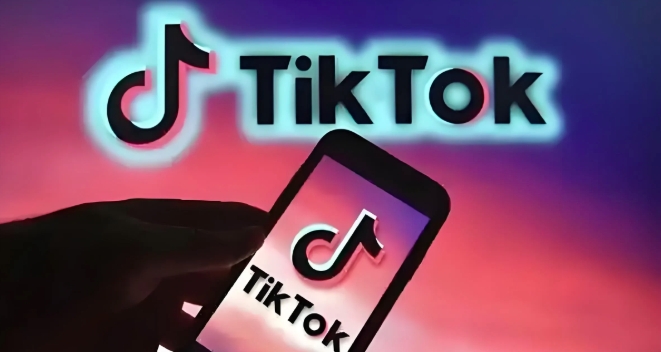 TikTok十大热门垂类排名