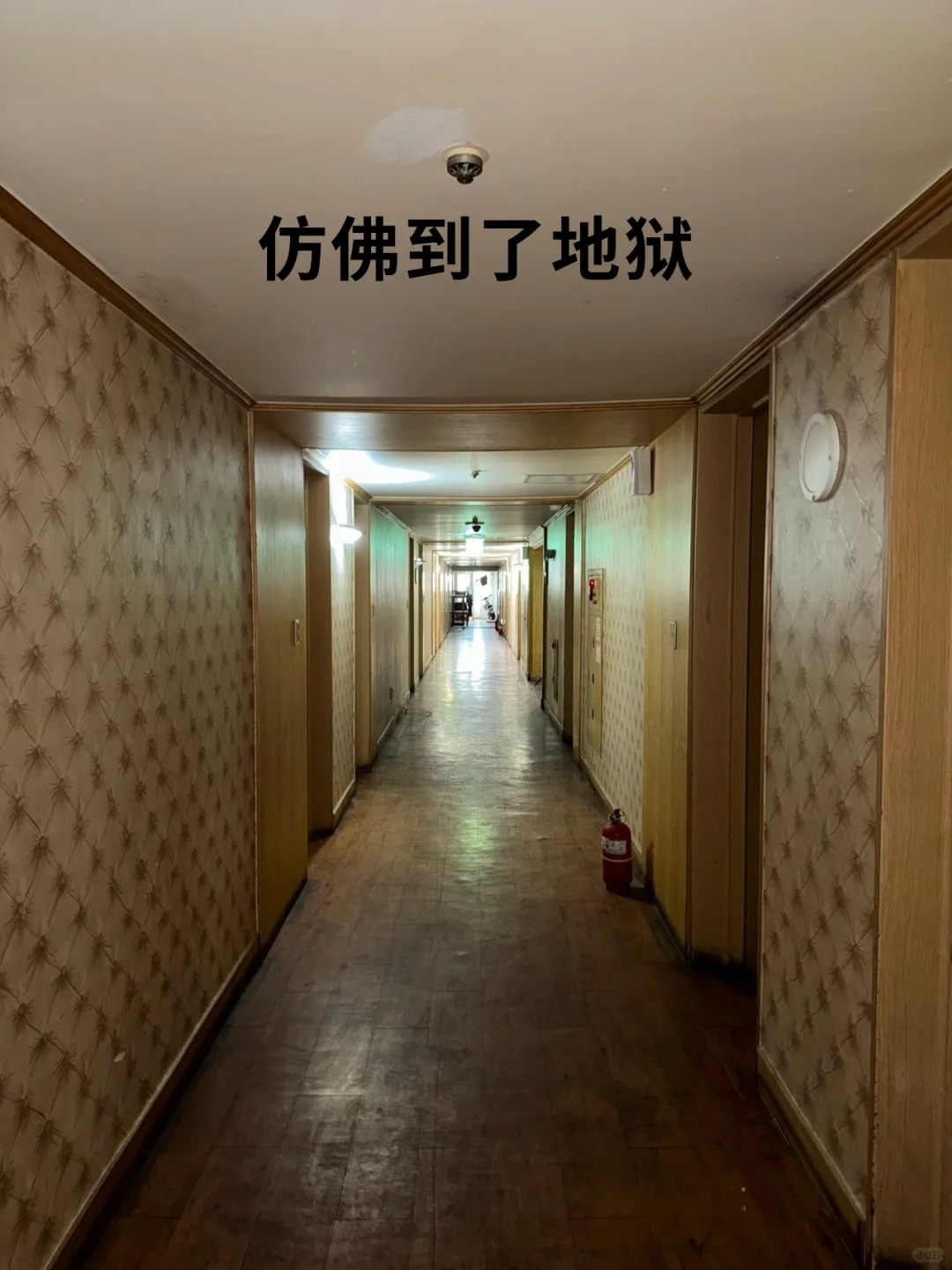 家人们,在济州岛定了鬼屋,连夜逃跑谁能懂
一个季度一次的济州岛，这次属于马失前蹄